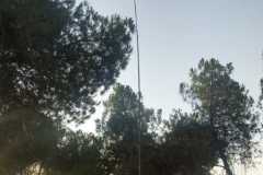 WhatsApp-Image-2021-08-20-at-08.48.23-1